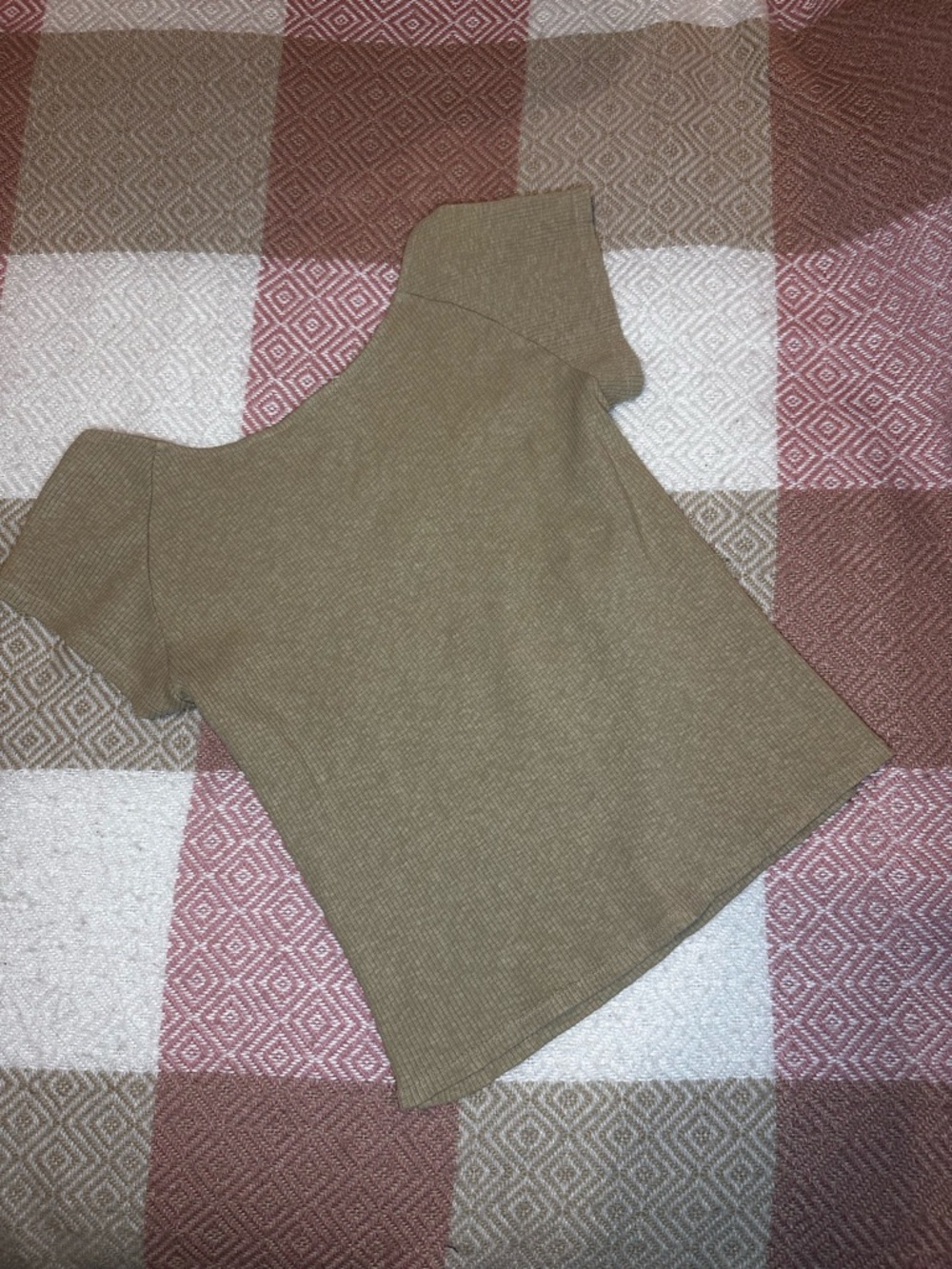 bcg Short Sleeve Ribbed Top in Tan